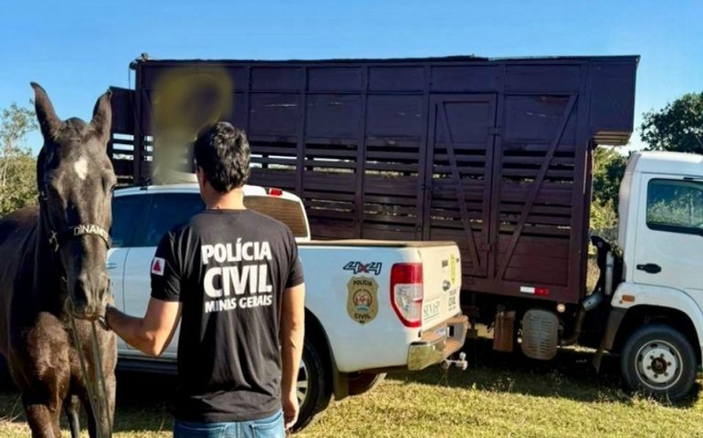 Égua de alto valor é recuperada em investigação interestadual sobre furto de animais