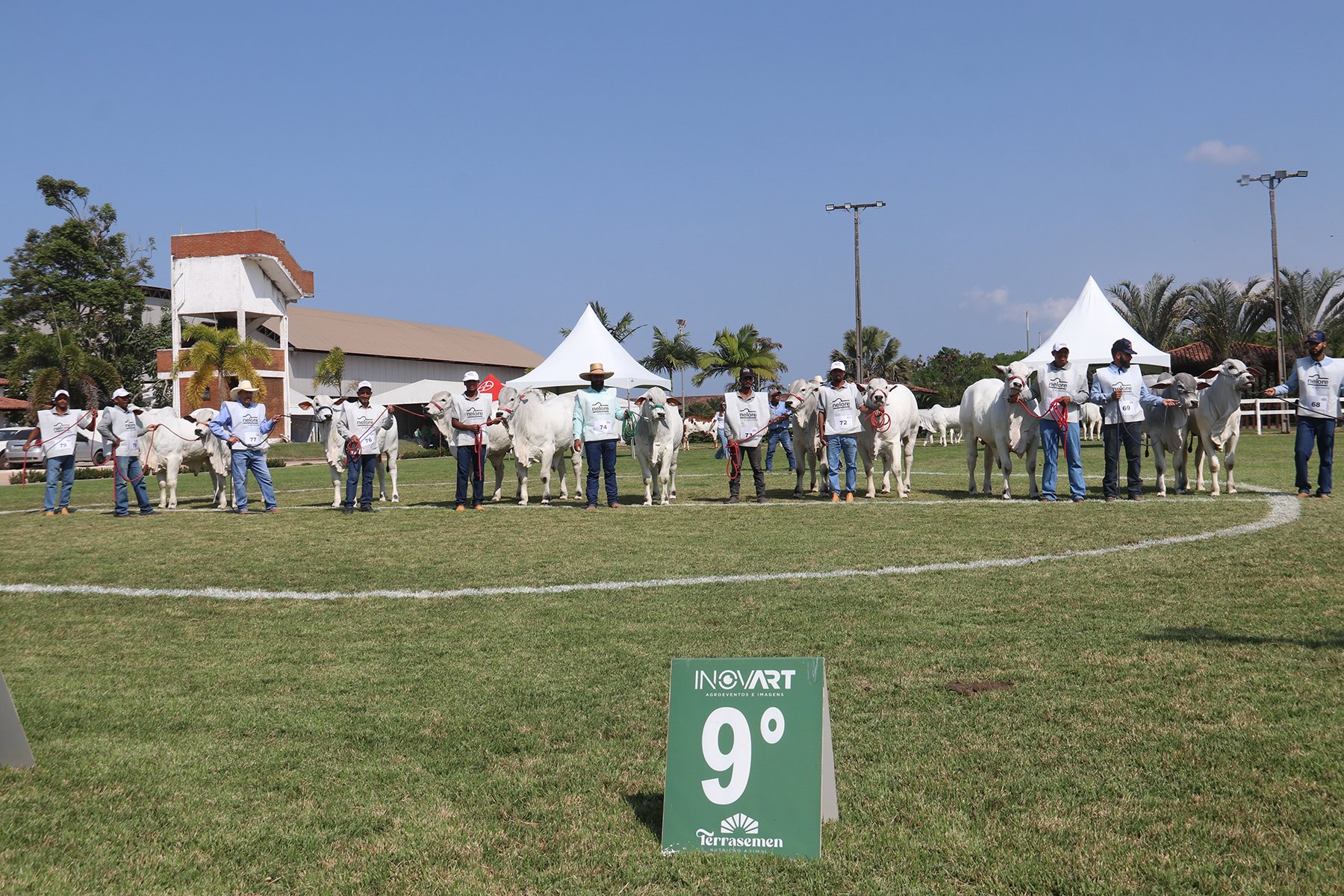14ª Exponel de Vila Velha é Exposição Ouro dos Rankings Nelore e acontece de 8 a 13 de junho