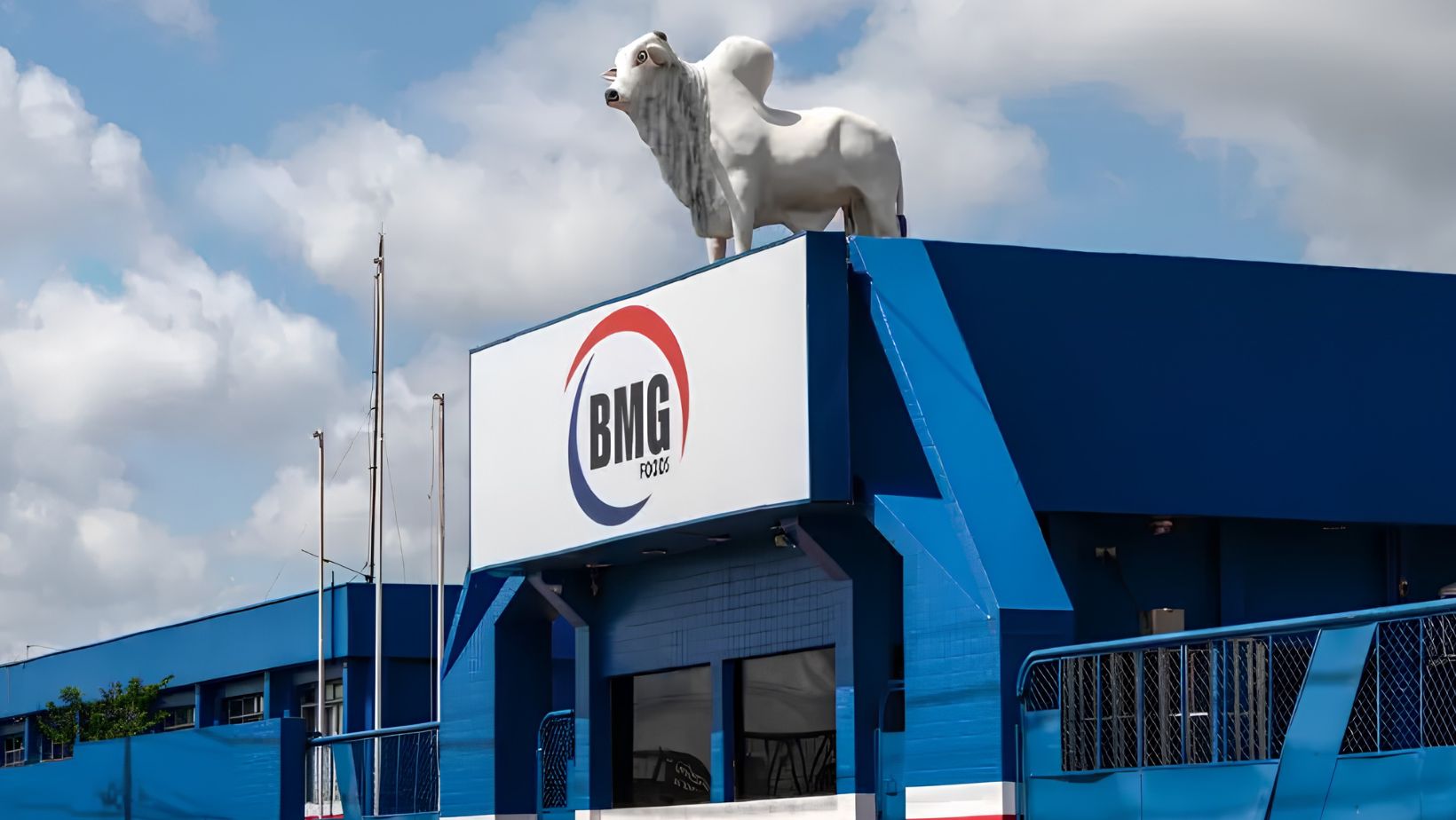 BMG Foods - frigorificos - carne