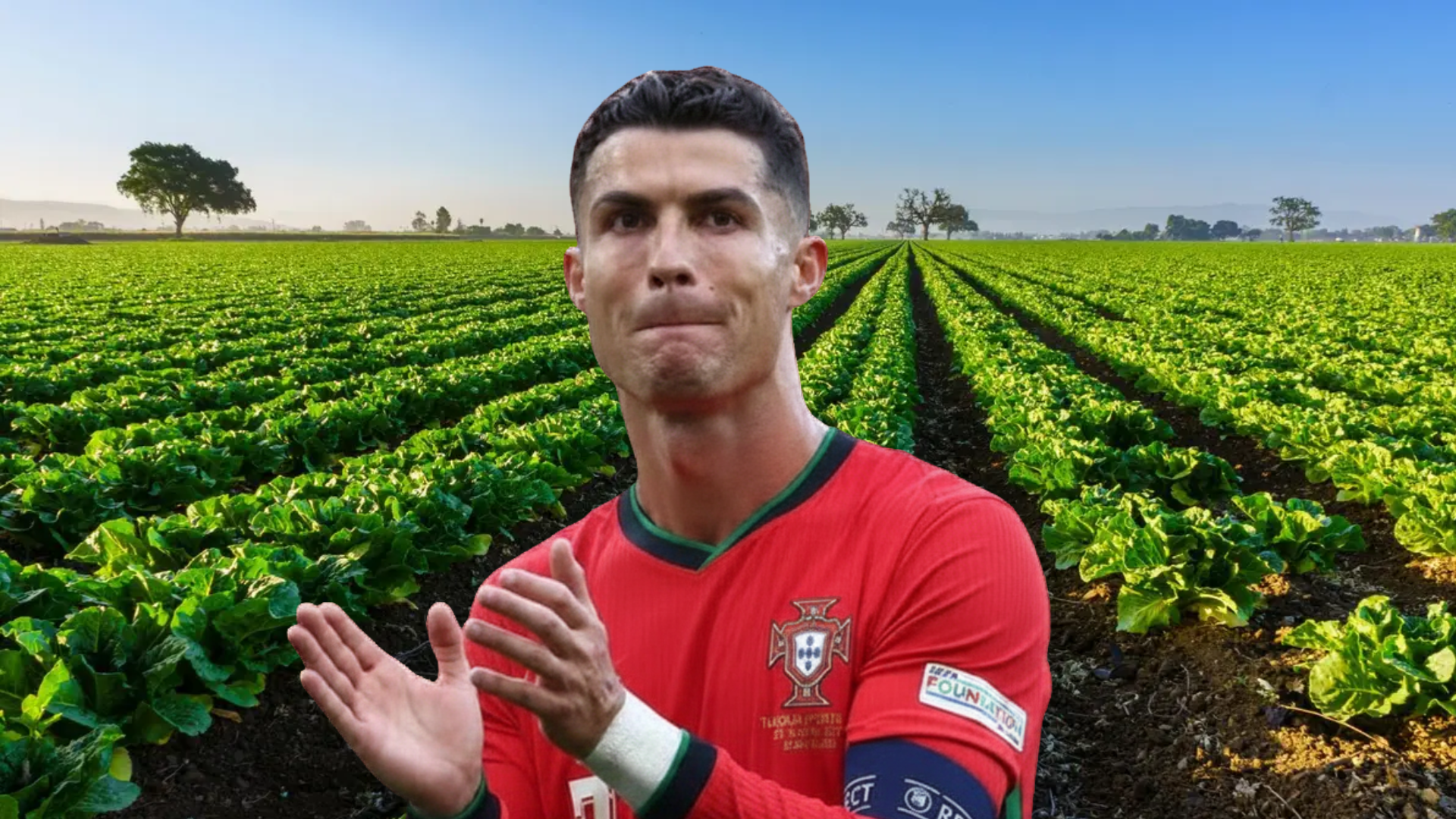 Cristiano Ronaldo, craque da Copa do Mundo, construiu um império agrícola em Portugal