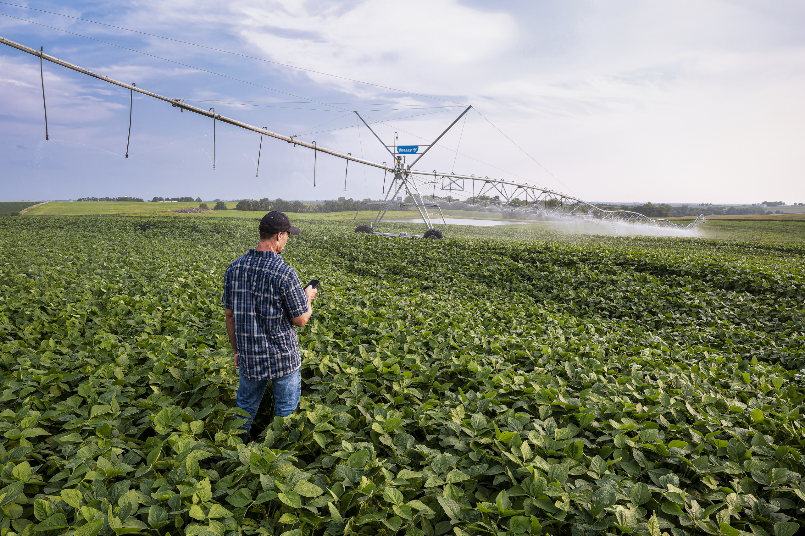 Nova regra para irrigação exige planejamento e amplia papel da tecnologia no campo