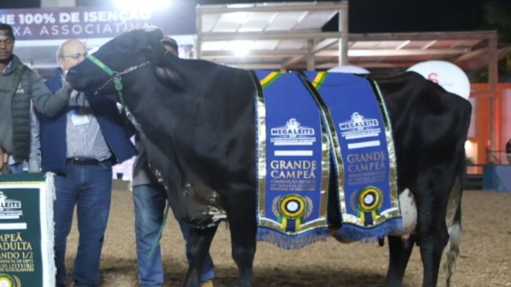 Girolando tem nova recordista mundial de producao de leite - Vaca Girolando Jornada Montross FIV LPN