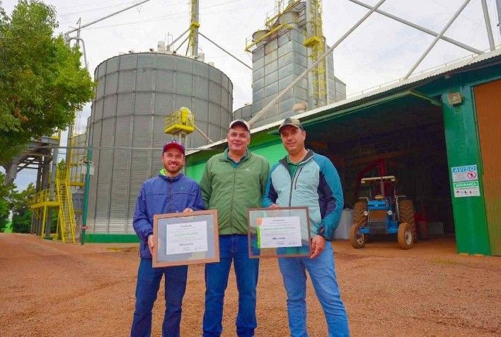 Milho brasileiro ultrapassa 369 sacas por hectare