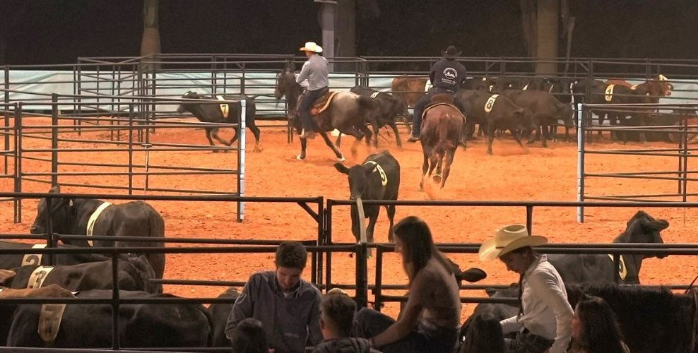 Competidores comemoram o segundo circuito do Mega Ranch Sorting 2026 Mangalarga