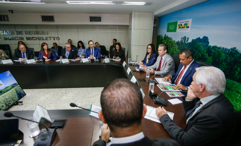 Ministro André de Paula se reúne com presidentes das Câmaras Setoriais para discutir demandas do agronegócio