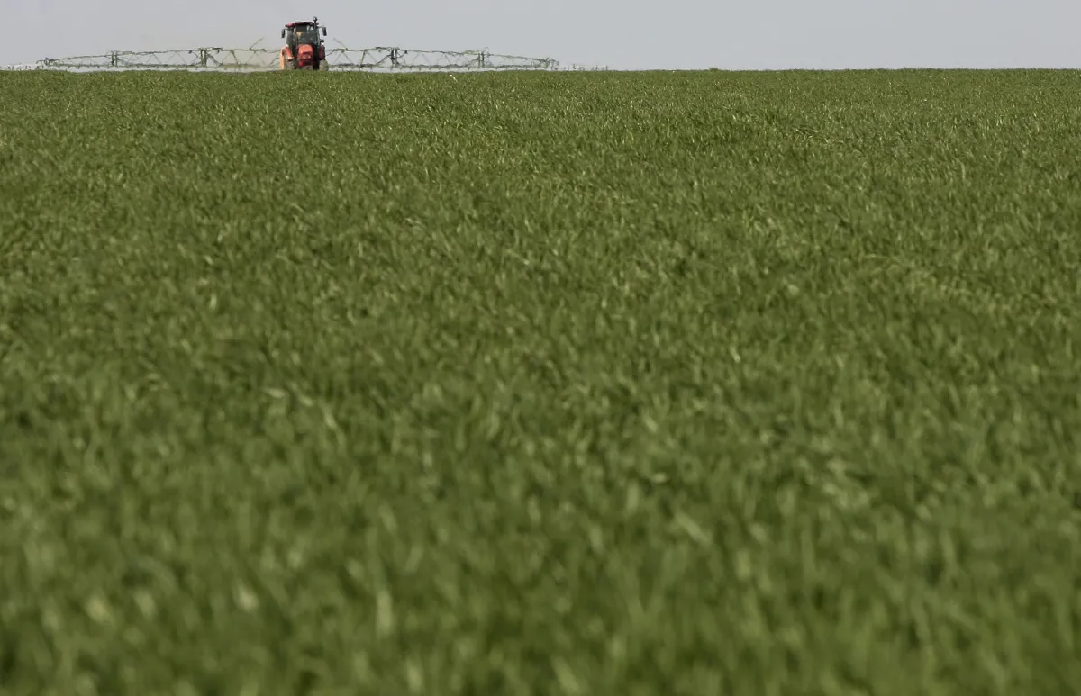 Empresas globais de alimentos adotam agricultura regenerativa; entenda