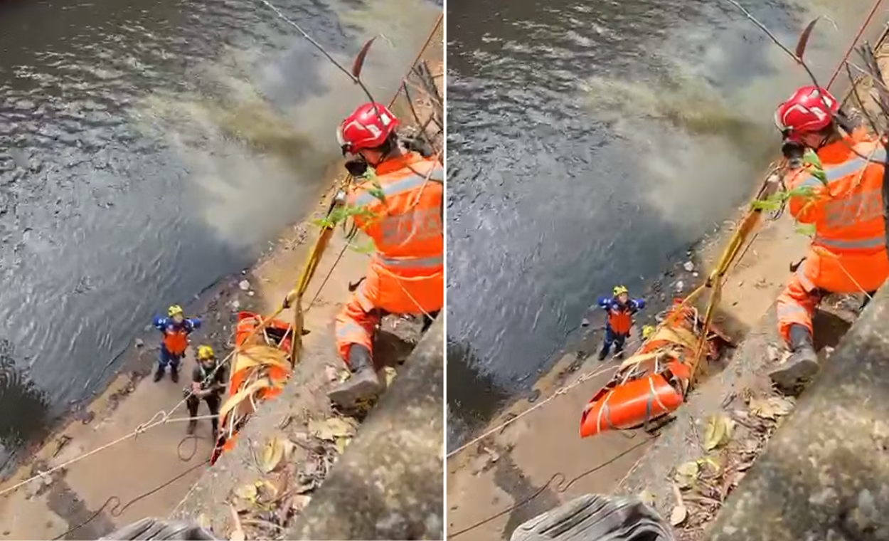 Bombeiros resgatam potro que caiu no Rio Arrudas, em Belo Horizonte; veja