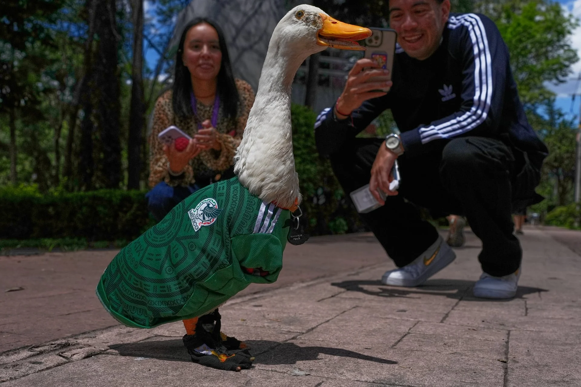 Conheça o pato sensação da Copa do Mundo que roubou a cena no México