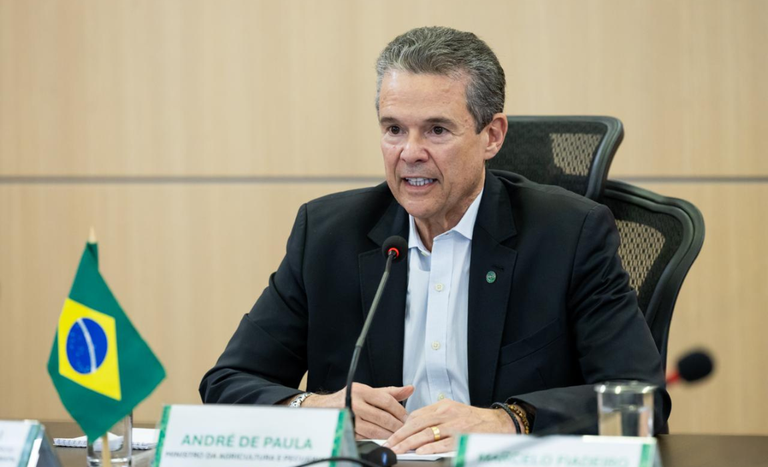 Brasil e Peru alinham transição da presidência da PLACA em videoconferência ministerial