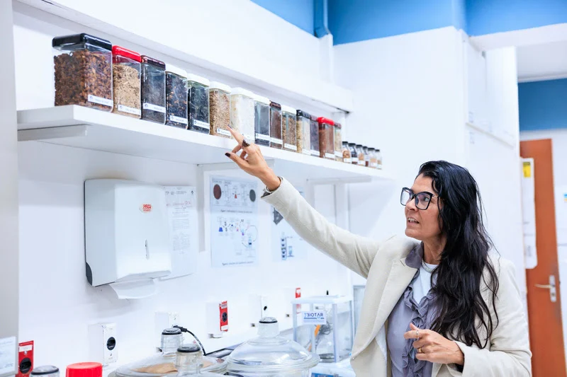 Nova calculadora da Unicamp converte resíduos do agronegócio em créditos de carbono