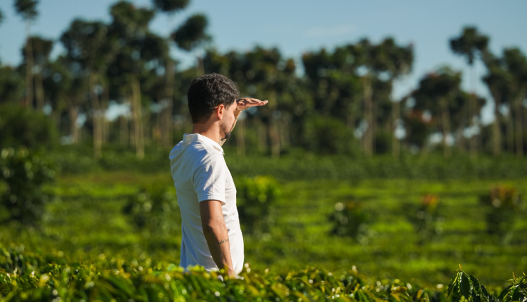 Região do Cerrado Mineiro lança internacionalmente nova estratégia de marca na World of Coffee Brussels 2026