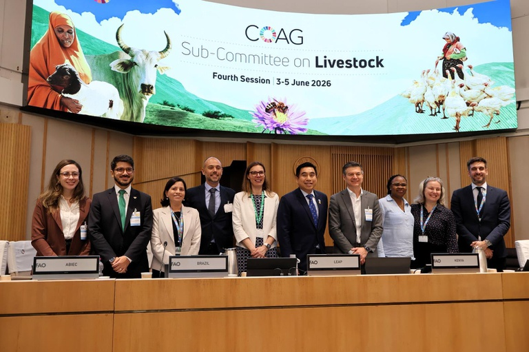 Brasil promove debate internacional sobre políticas para pecuária sustentável durante reunião da FAO