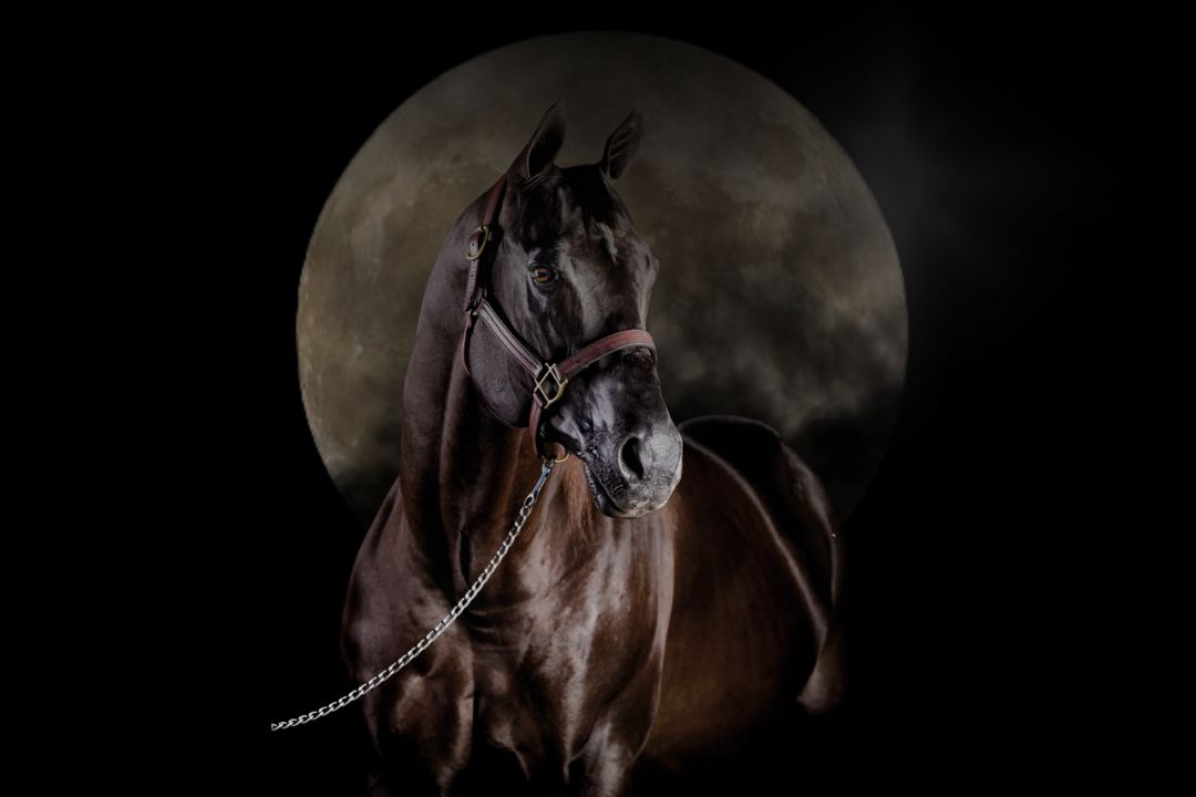 jess arisen moon