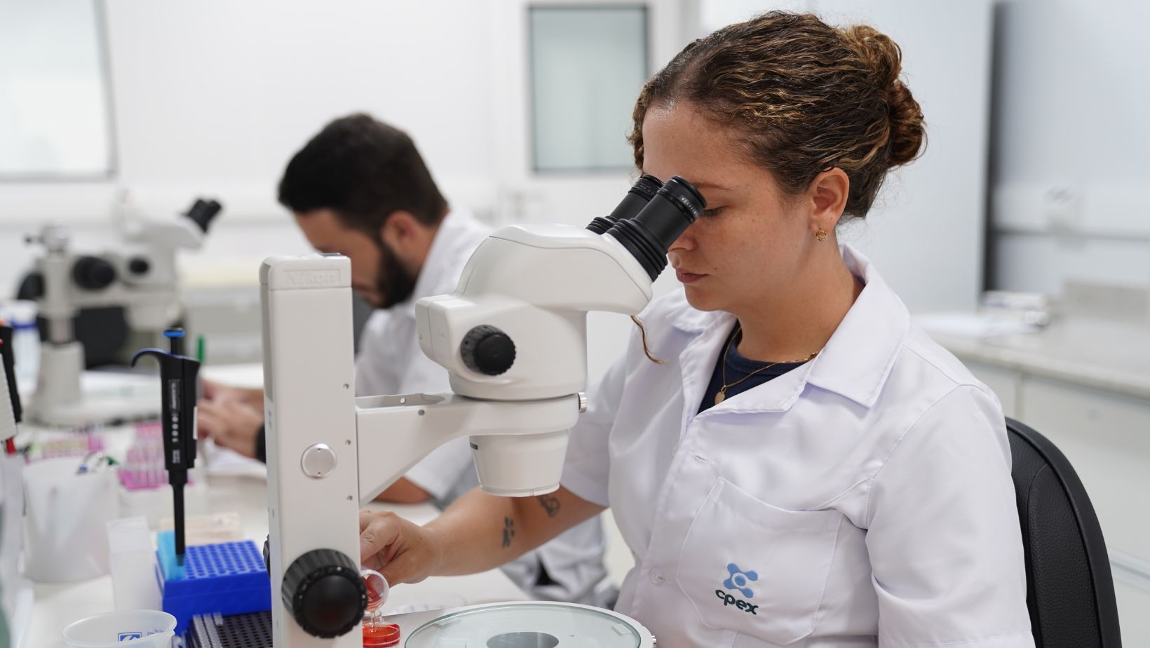 laboratorio Laboratorio CPEX - producao de embrioes